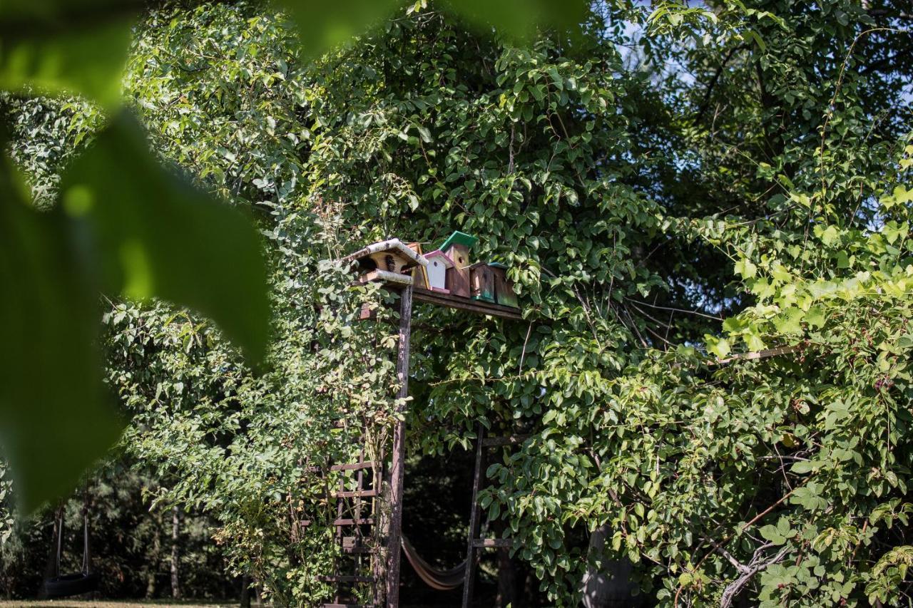 Apartamenty Na Kasztelanskiej Spytkowice  Exteriör bild