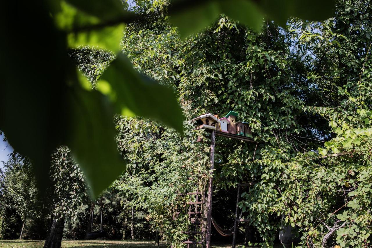 Apartamenty Na Kasztelanskiej Spytkowice  Exteriör bild